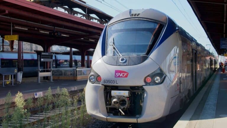Ce site promet de suivre les trains en temps réel, mais il y a un problème